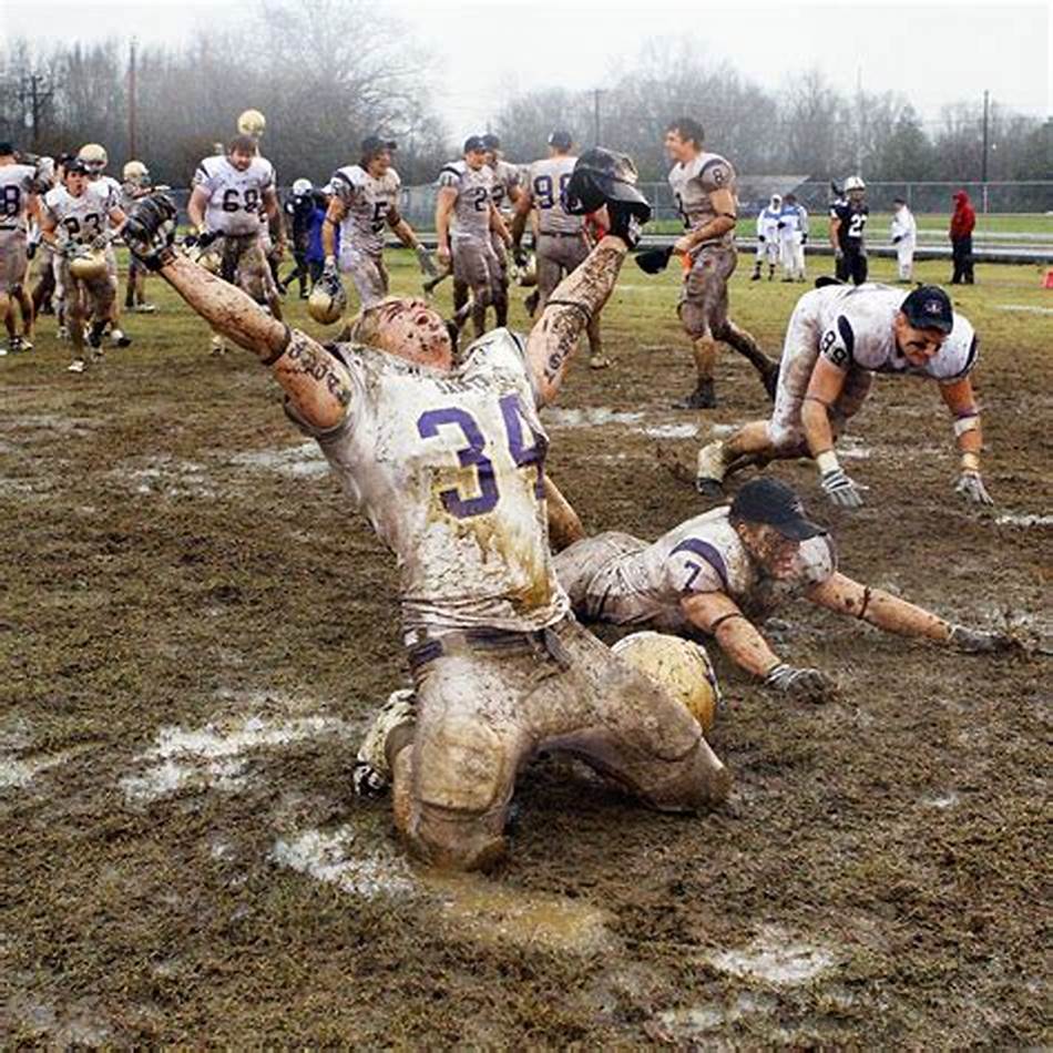 也为未来的 也为未来的