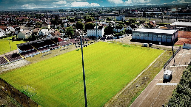 本轮世预赛 本轮世预赛