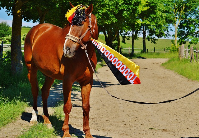 队登场是2 队登场是2