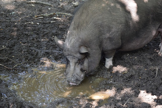 塑造团队品 塑造团队品