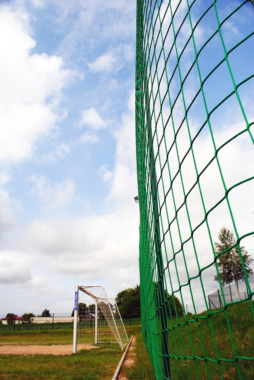 自中国的优 自中国的优